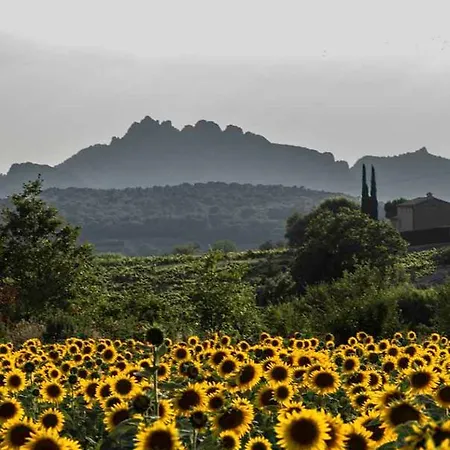 D'hotes Aux Tournesols Oda ve Kahvaltı Malaucène