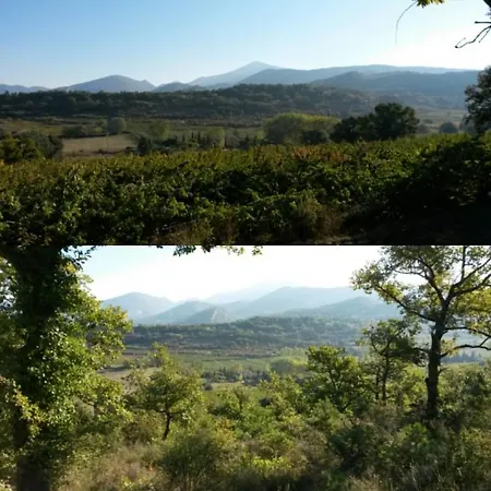 Oda ve Kahvaltı D'hotes Aux Tournesols *